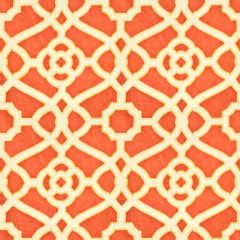 Stout Meredith Pumpkin 1 Rainbow Library Collection Multipurpose Fabric