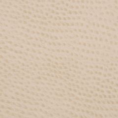 Kravet Ossy Beige 16 Indoor Upholstery Fabric