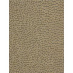 Kravet Couture Forgetful Stone 6 Faux Leather Indoor Upholstery Fabric