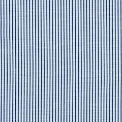 Scalamandre Tisbury Stripe Cornflower SC 000327109 Chatham Stripes and Plaids Collection Upholstery Fabric