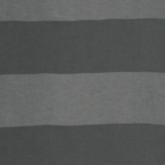Robert Allen Bishop Stripe-Shadow 224901 - Reversible Multi-Purpose Fabric