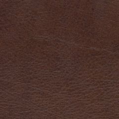 Allegro 7066 Briarwood Marine Upholstery Fabric