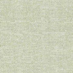 Sunbrella Chartres Mint CHA J188 140 European Collection Upholstery Fabric
