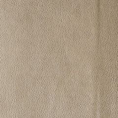 Kravet Design Kerinci Mica 16 Performance Sta-Kleen Collection Indoor Upholstery Fabric