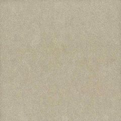 Stout Moore Dove 35 Timeless Velvets Collection Indoor Upholstery Fabric
