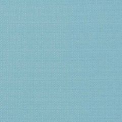 Premier Prints Dyed Aqua / Luxe Polyester Indoor-Outdoor Upholstery Fabric