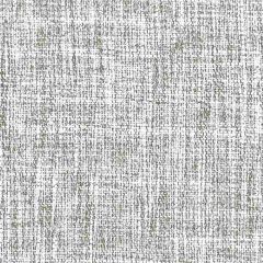 Stout Verdure Pewter 5 Myth Drapery FR Textures Collection Drapery Fabric