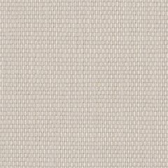 Perennials Tisket Tasket Ash 920-108 Rodeo Drive Collection Upholstery Fabric