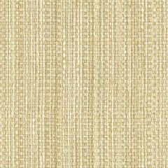 Kravet Smart Weaves Impeccable Snow 31992-1 Guaranteed in Stock Indoor Upholstery Fabric