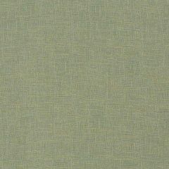 Robert Allen Line N Dash Lettuce 509350 Epicurean Collection Indoor Upholstery Fabric