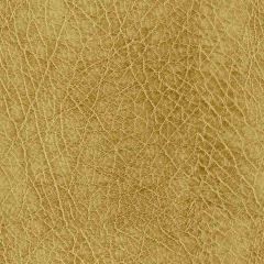 ABBEYSHEA Abilene 606 Honey Indoor Upholstery Fabric