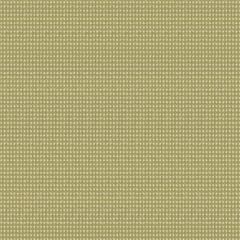 Outdura Delaney Cactus 4882 Modern Textures Collection Upholstery Fabric - by the roll(s)