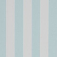 Beacon Hill Divya Stripe Lagoon 226348 Wide Stripes Collection Multipurpose Fabric