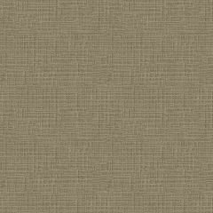 Endurepel Devine 81 Chrome Indoor Upholstery Fabric