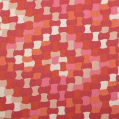 Duralee Berry 21044-224 Decor Fabric