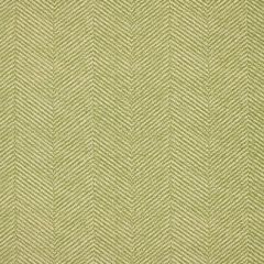 F Schumacher Chevron D-Ete Grass 173042 Plein Air Collection Upholstery Fabric