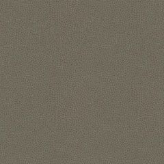 Kravet Contract Bess Grey 11 Faux Leather Indoor Upholstery Fabric