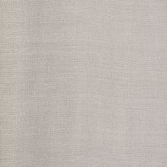 Robert Allen Cartier-Powder 180711 Decor Multi-Purpose Fabric