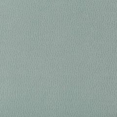 Kravet Contract Lenox Mystic 135 Indoor Upholstery Fabric