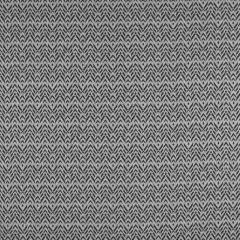 Gaston Y Daniela Cervantes Onyx GDT5200-12 Madrid Collection Indoor Upholstery Fabric