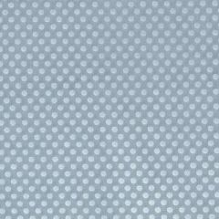 Duralee Aquamarine 36292-260 Decor Fabric