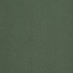 Robert Allen Milan Solid Billiard Green 234712 Drapeable Linen Collection Multipurpose Fabric