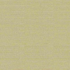 Kravet Jet Setter Silver 29582-11 by Candice Olson Indoor Upholstery Fabric