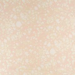 Beacon Hill Dolomite Blush 259982 Silk Jacquards and Embroideries Collection Multipurpose Fabric