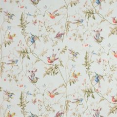 Cole and Son Hummingbirds Cotton Print Ruban F62-1004 by David Easton Multipurpose Fabric