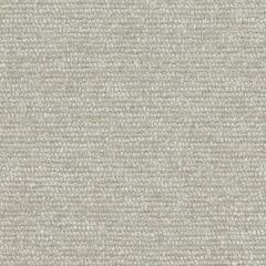 Perennials Touchy Feely White Sands 975-270 Beyond the Bend Collection Upholstery Fabric