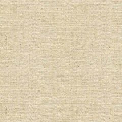 Kravet Basics Beige 33842-2111 Perfect Plains Collection Multipurpose Fabric
