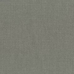 ABBEYSHEA Pace 94 Platinum Indoor Upholstery Fabric