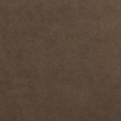 Lee Jofa Ultimate Earth 960122-661 Ultimate Suede Collection Indoor Upholstery Fabric