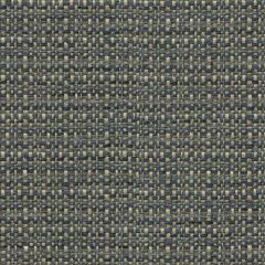 Kravet Design Grey 32550-5 Guaranteed in Stock Indoor Upholstery Fabric