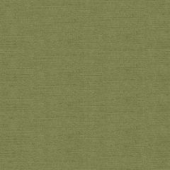 Kravet Venetian Leaf 31326-3333 Indoor Upholstery Fabric