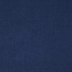 Kravet Buckley Royal 30983-5 Thom Filicia Collection Multipurpose Fabric