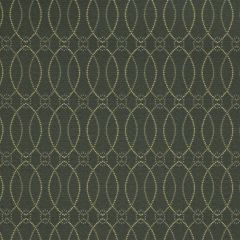 Robert Allen Contract Eco Loring-Lido 179858 Decor Upholstery Fabric