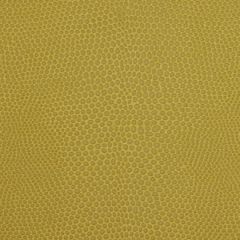Robert Allen Tiny Pebbles Zest 195484 Indoor Upholstery Fabric