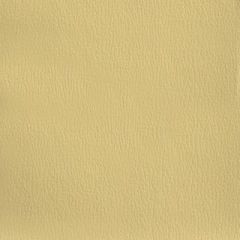 Olympus Desert Tan OLY270ADF Multipurpose Upholstery Fabric