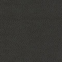 F. Schumacher Promessa Ebony 363-5845 Ultraleather Collection