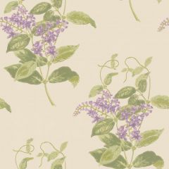 Cole and Son Madras Violet Olive and Lavender 100-12056 Archive Anthology Collection Wall Covering