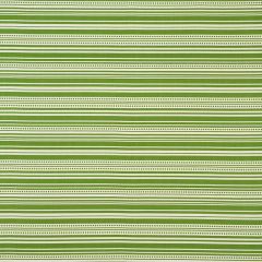 F Schumacher Stripedot II Green 176590 Indoor / Outdoor by Studio Bon Collection Upholstery Fabric