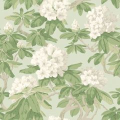 Cole and Son Bourlie Duck Egg 99-4022 Wall Covering
