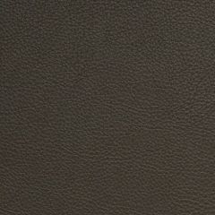 Aura Retreat Fossil SCL-204 Upholstery Fabric