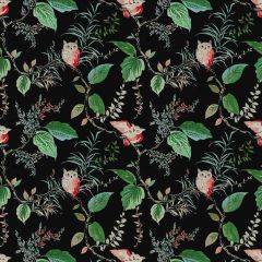 Kravet Design Owlish Black 819 Curiosities Collection by Kate Spade Multipurpose Fabric