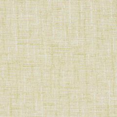 By the Roll - Patio Lane Mustard Seed Living Paradise Outdoor Upholstery Fabric