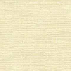 Kravet Denman Ivory 33008-1 by Sarah Richardson Multipurpose Fabric
