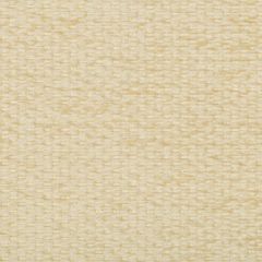 Kravet Design 35133-116 Performance Crypton Home Collection Indoor Upholstery Fabric