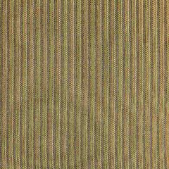 Aldeco Carvalhal Little Miss Sunshine A9 00044700 Rhapsody Collection Contract Upholstery Fabric
