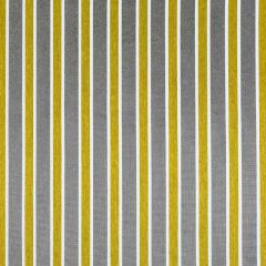 Aldeco Cabana Little Miss Sunshine A9 0006CABA Rhapsody Collection Contract Upholstery Fabric